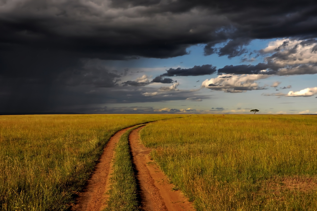 The Unlimited Kenya Experience